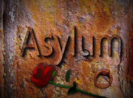 A board written asylum on it and below a rose