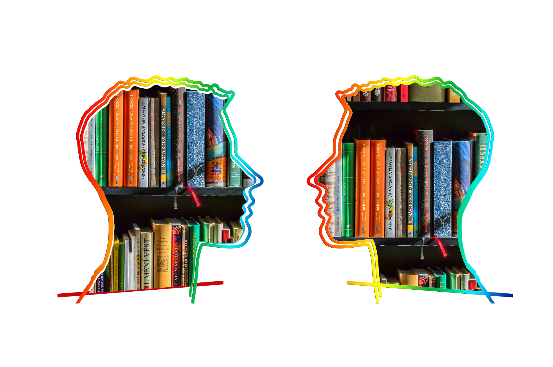 Image of silhouette-1793934_1920-5.pngw3.webp for Interview with J. Daniel Jung, Director at Abraham Lincoln University School of Law